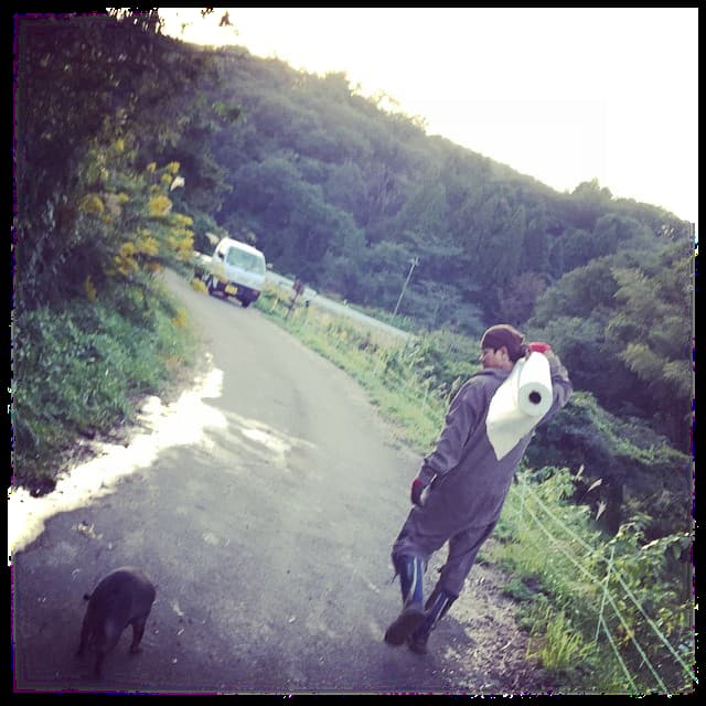 有機農業 畑の道